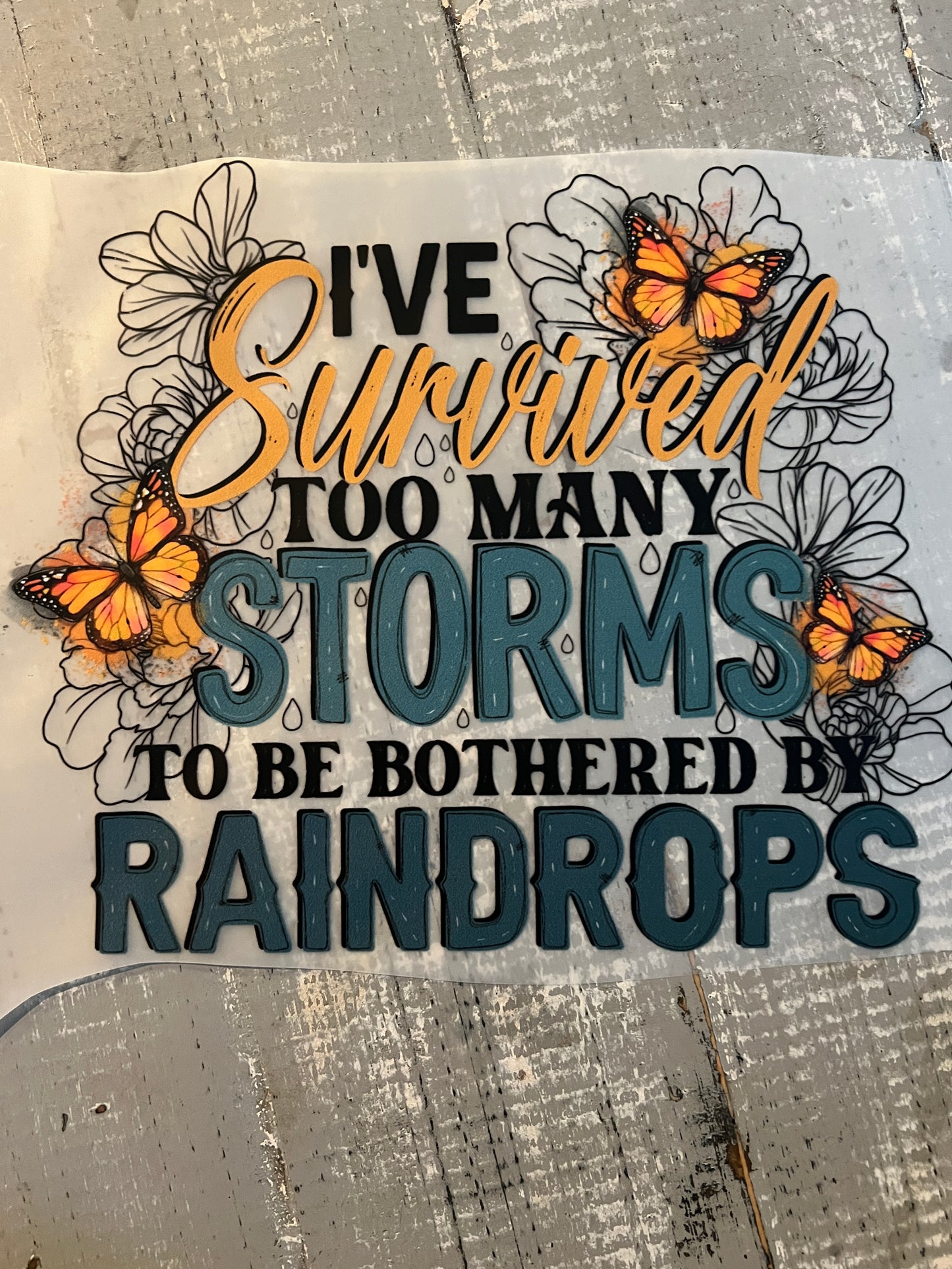 I’ve survived too many storms to be bothered by raindrops